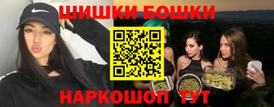 гашик Гатчина