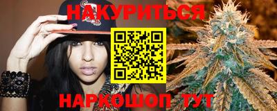 гашик Гатчина