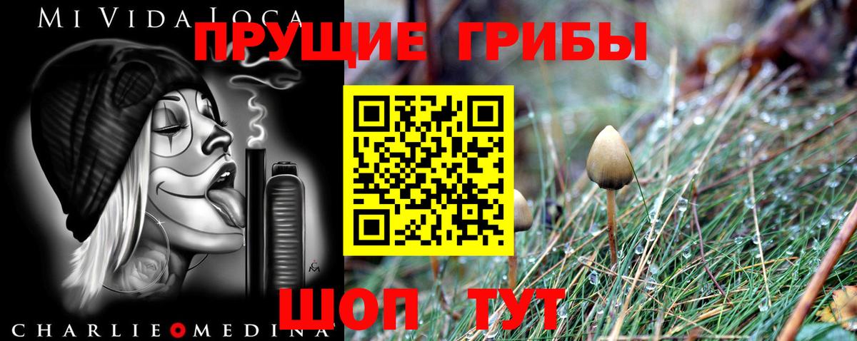 Галлюциногенные грибы Magic Shrooms Мурманск